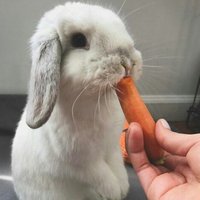 Екатерина Евдокимова