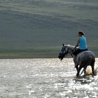 Марина  Шабалова