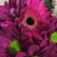 Евгения Блинова