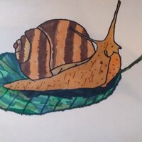 Кира Анохина