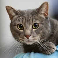 Александра