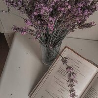 Андреева Диана