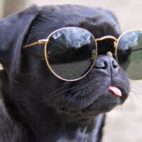 Роман Дубинин