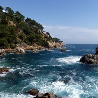 Геннадий Тесёлкин