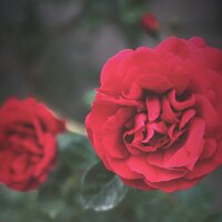 Оля Дядькова