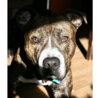 Федор Сумкин