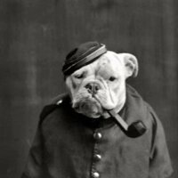 Артём Долгов