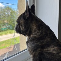 Наталья Сычёва