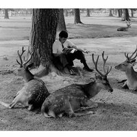 Андрей Дубинин