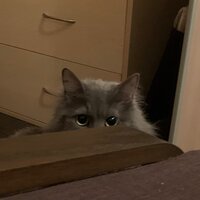 Евгения