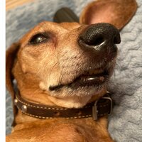 наталия флеганова