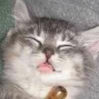 Александра Ренгольт