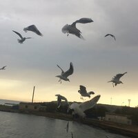 Катерина Г.