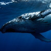 Маргарита Константиновец