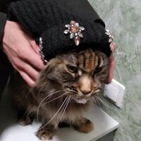 Константин К.