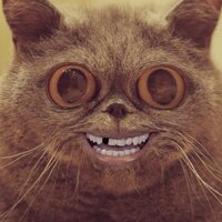 Михаил Барсуков