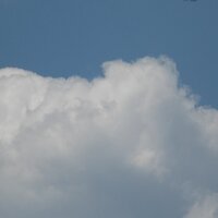 Наталья Семенихина