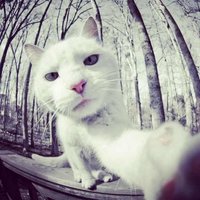 Вова Ругсгод