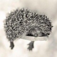 Юлия Кондрашова