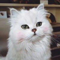 Полина Трофименкова