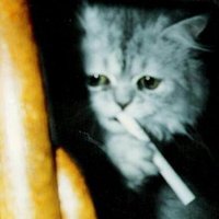 Анна Завастин