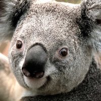 джек восьмеркин