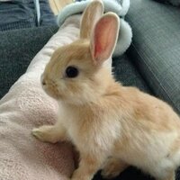 Екатерина К.