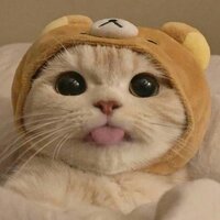 Виктория Гавришенкова