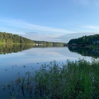 Виталий Владимирович