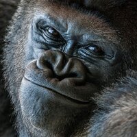 Галина Наникова