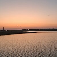 Автор отзыва Юлия Анищенко