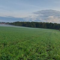 Александра Лазорина