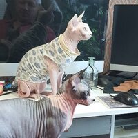 Дмитрий