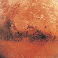 Куранова Даша