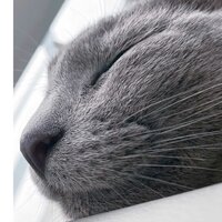 Моня Кацман