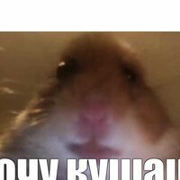 Александр Епифанов