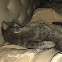 Ваня Разжигаев