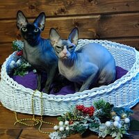 Олеся Кирьянова