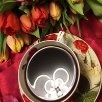 Светлана Ю.