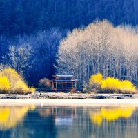 Елена Сигаева