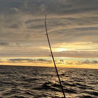 Виктория А.