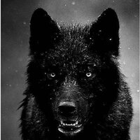 Аполлинария Федорова