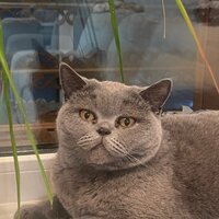 Лилия Киселева