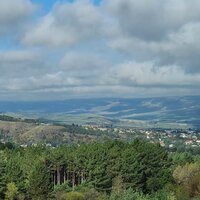 Ольга Шурыгина