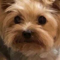 Татьяна Мальцева