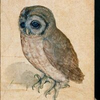 Дмитрий Петров