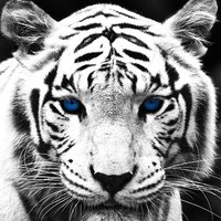 Даниил Брынский