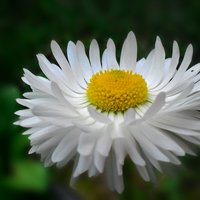 Любовь Юрьевна