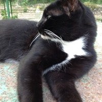 Владислав Василенко