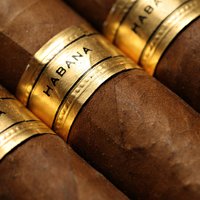 Александр С.